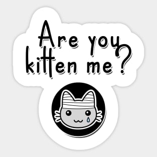 Are You Kitten Me? Sticker